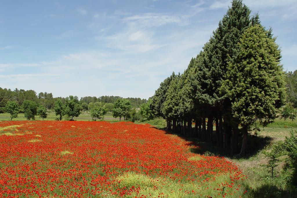 Une Campagne En Provence Bras Kültér fotó